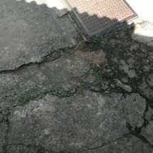 IMG-20180319-WA0083